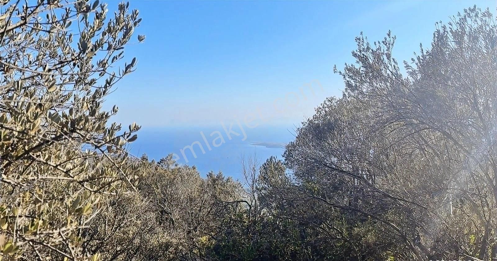 Startkey Pelit Gayrimenkul'den Sındı'da Deniz Manzaralı Tarla - Görsel 18