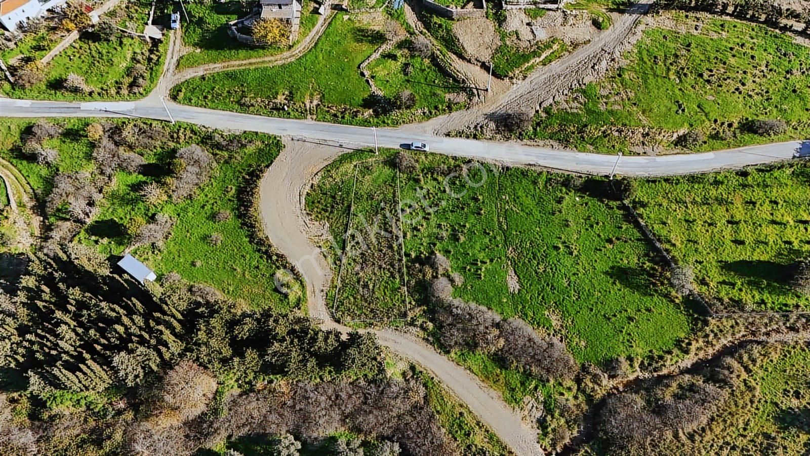 Karaburun Da Uygun Fiyatlı Tarla - Görsel 8