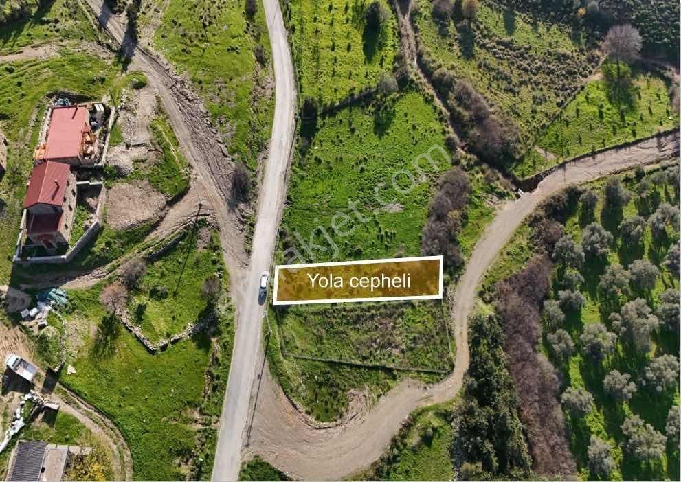 Karaburun Da Uygun Fiyatlı Tarla - Görsel 7