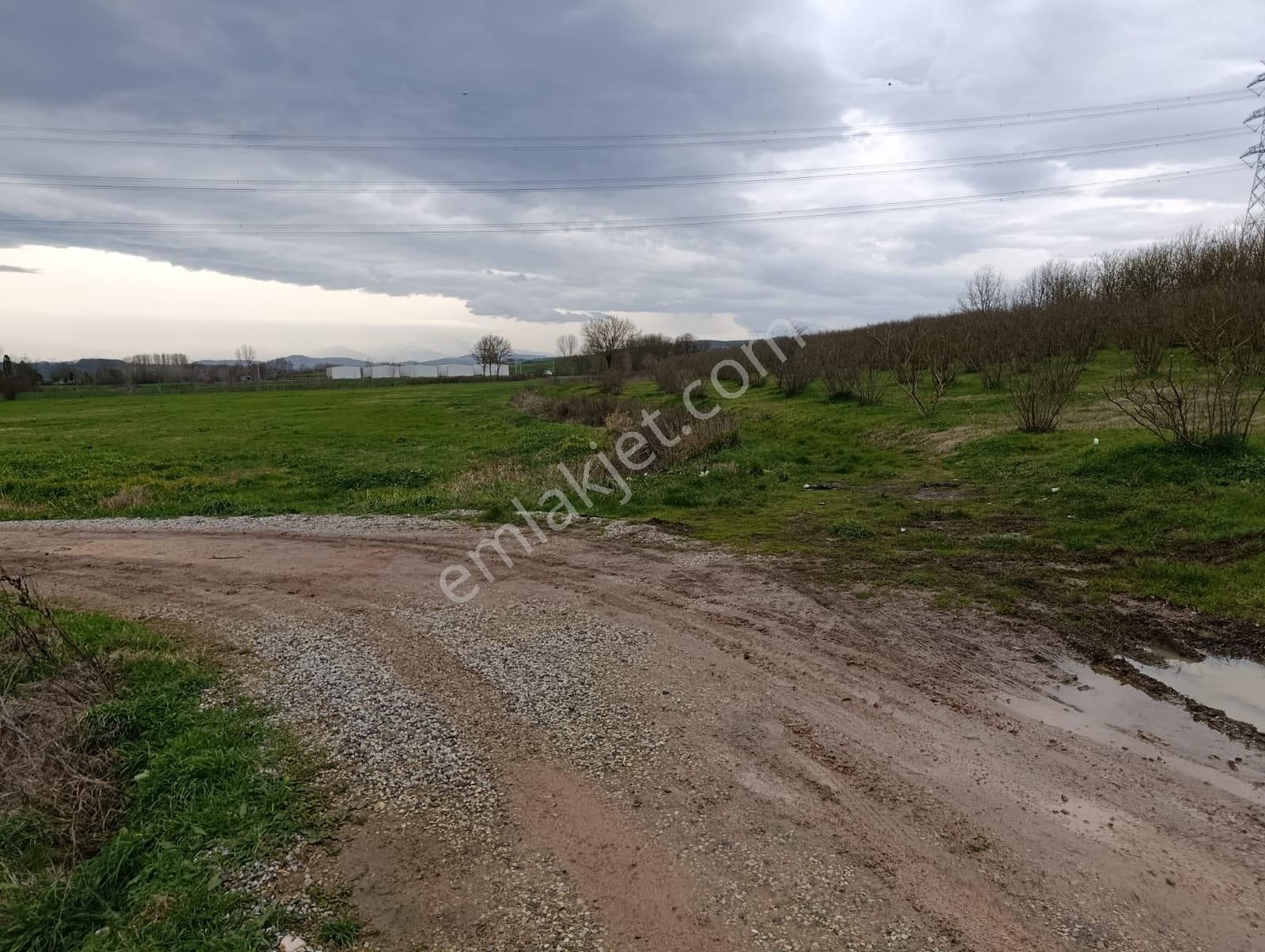 Acıelmalıkta İçerisinde Yapı Ve Fındık Ocakları Olan Tarla - Görsel 9