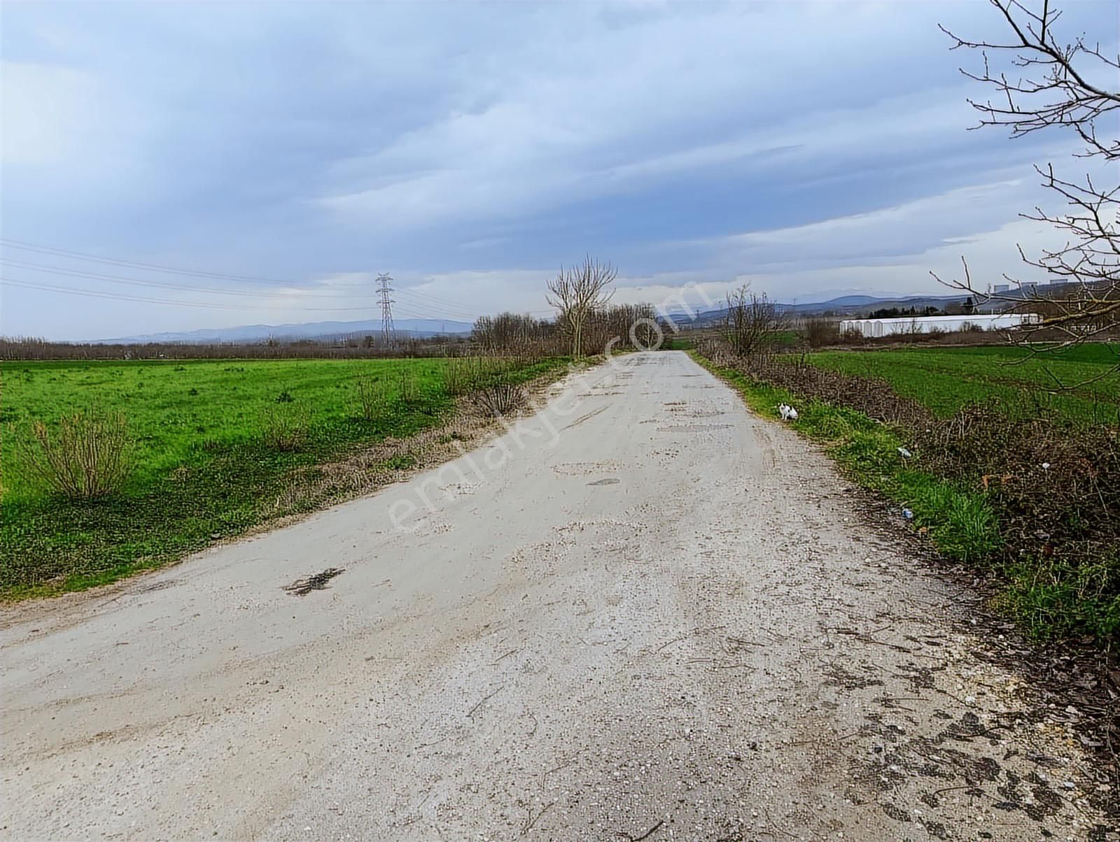 Acıelmalıkta İçerisinde Yapı Ve Fındık Ocakları Olan Tarla - Görsel 19