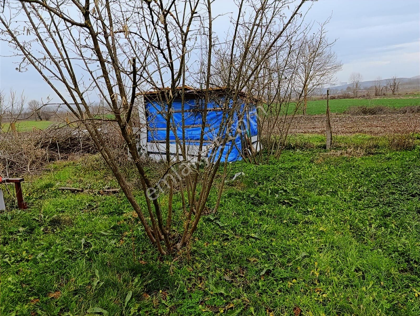 Acıelmalıkta İçerisinde Yapı Ve Fındık Ocakları Olan Tarla - Görsel 17