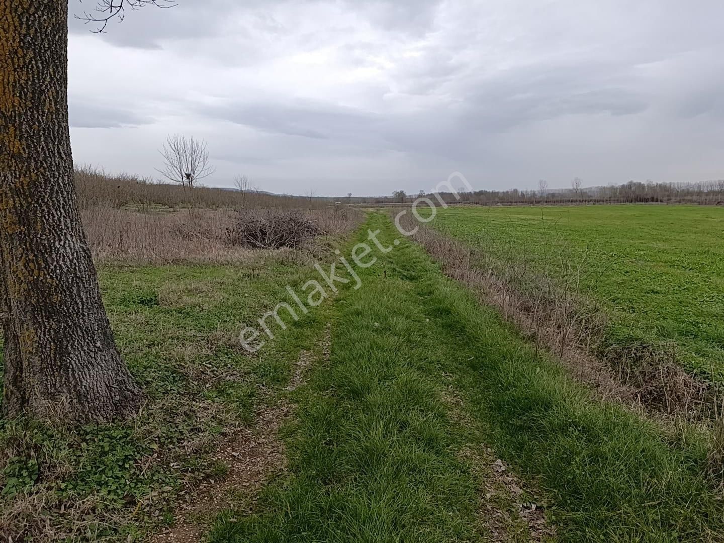 Acıelmalıkta İçerisinde Yapı Ve Fındık Ocakları Olan Tarla - Görsel 14