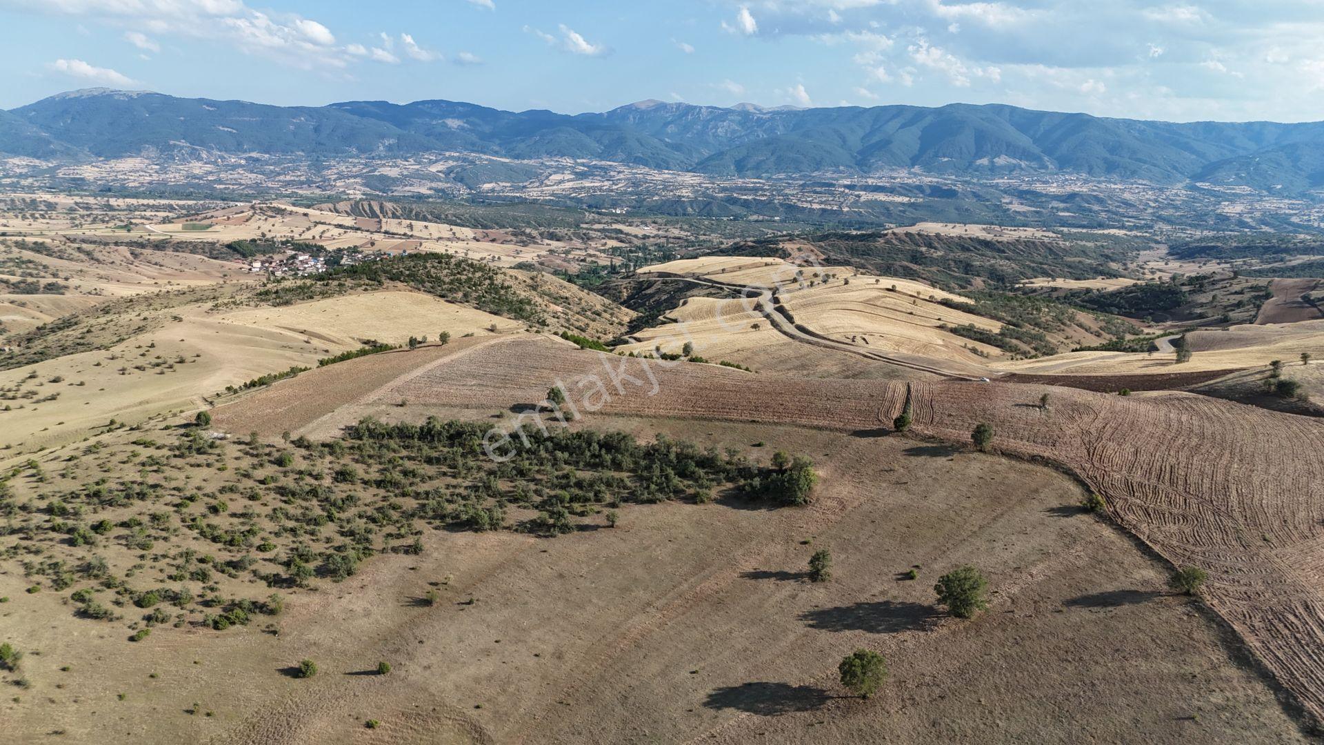 Amasya / Hamamözü / Sarayözü Nde 4.242 M² Müstakil Tarla - Görsel 9