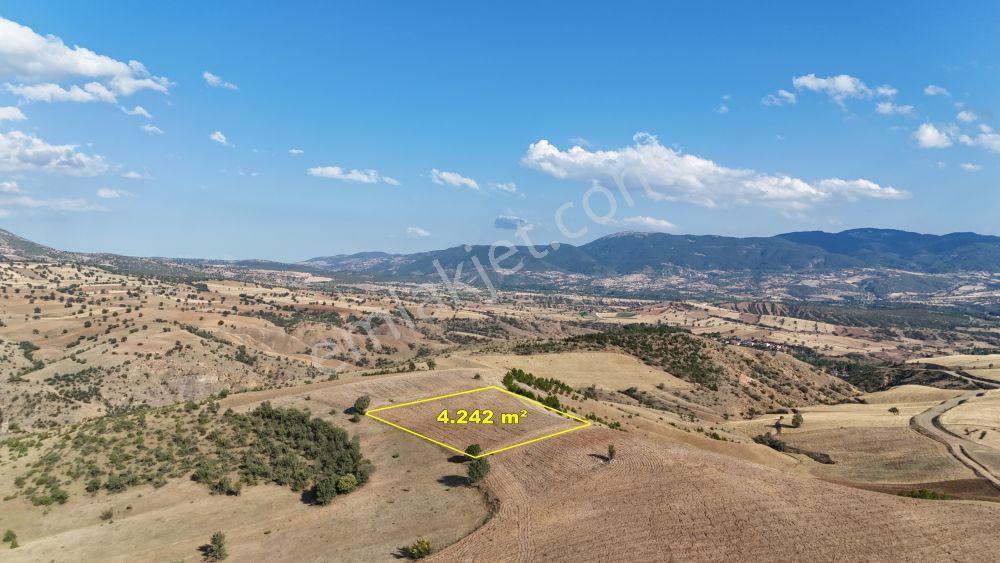 Amasya / Hamamözü / Sarayözü Nde 4.242 M² Müstakil Tarla - Görsel 4