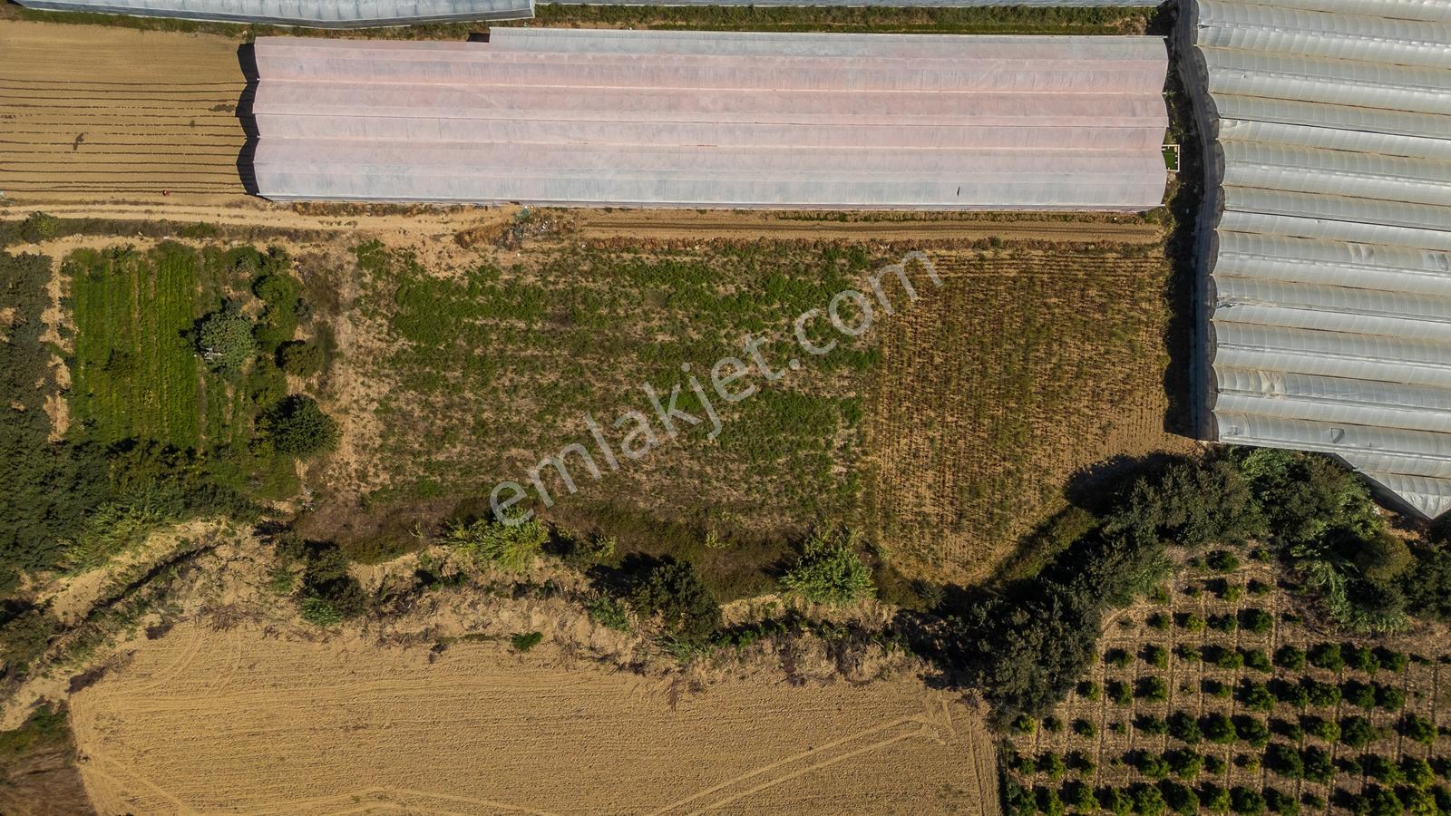 Doğançam Köyünde Fırsat Tarla 5272 M² - Görsel 10