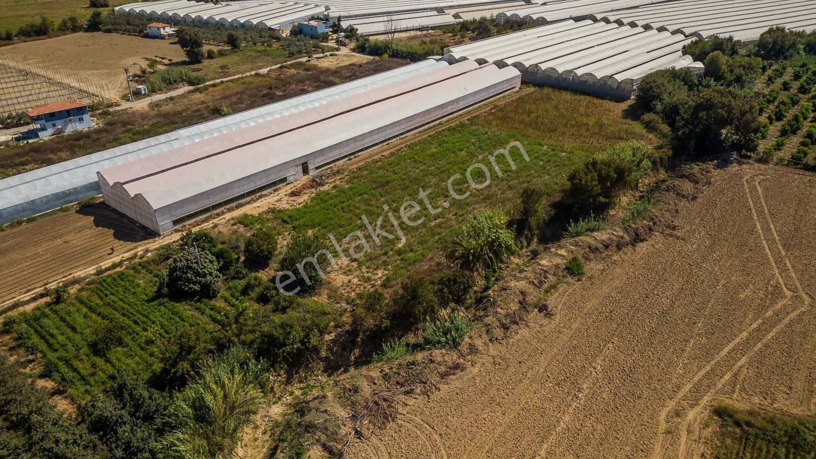 Doğançam Köyünde Fırsat Tarla 5272 M² - Görsel 15