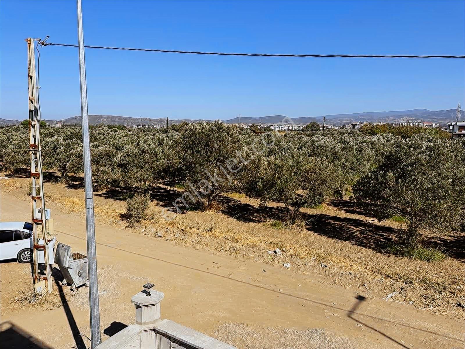 Denize Yakın Satılık 3+1 İskanı Alınmış Köşe Parsel Villa - Görsel 28