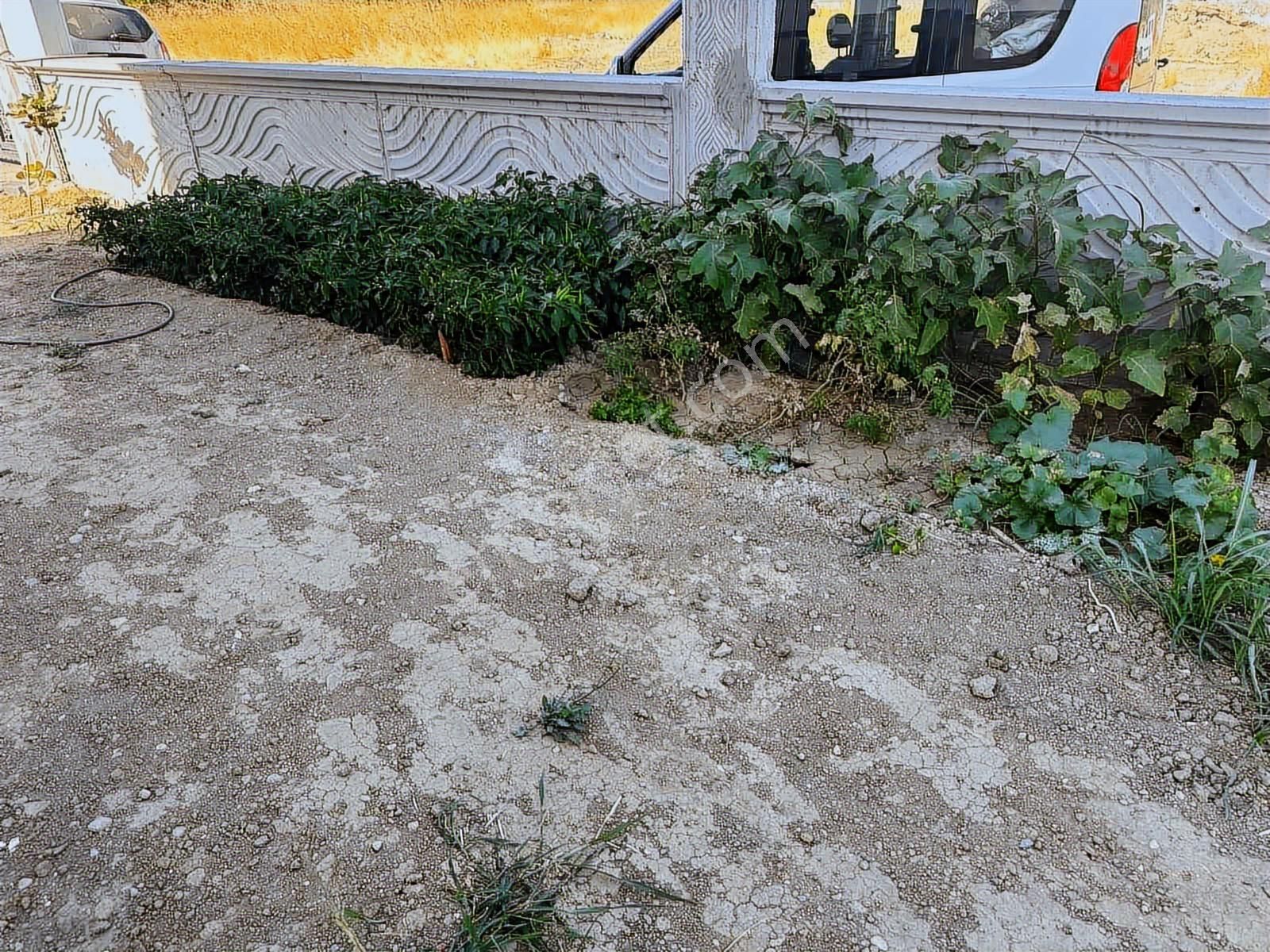 Denize Yakın Satılık 3+1 İskanı Alınmış Köşe Parsel Villa - Görsel 6