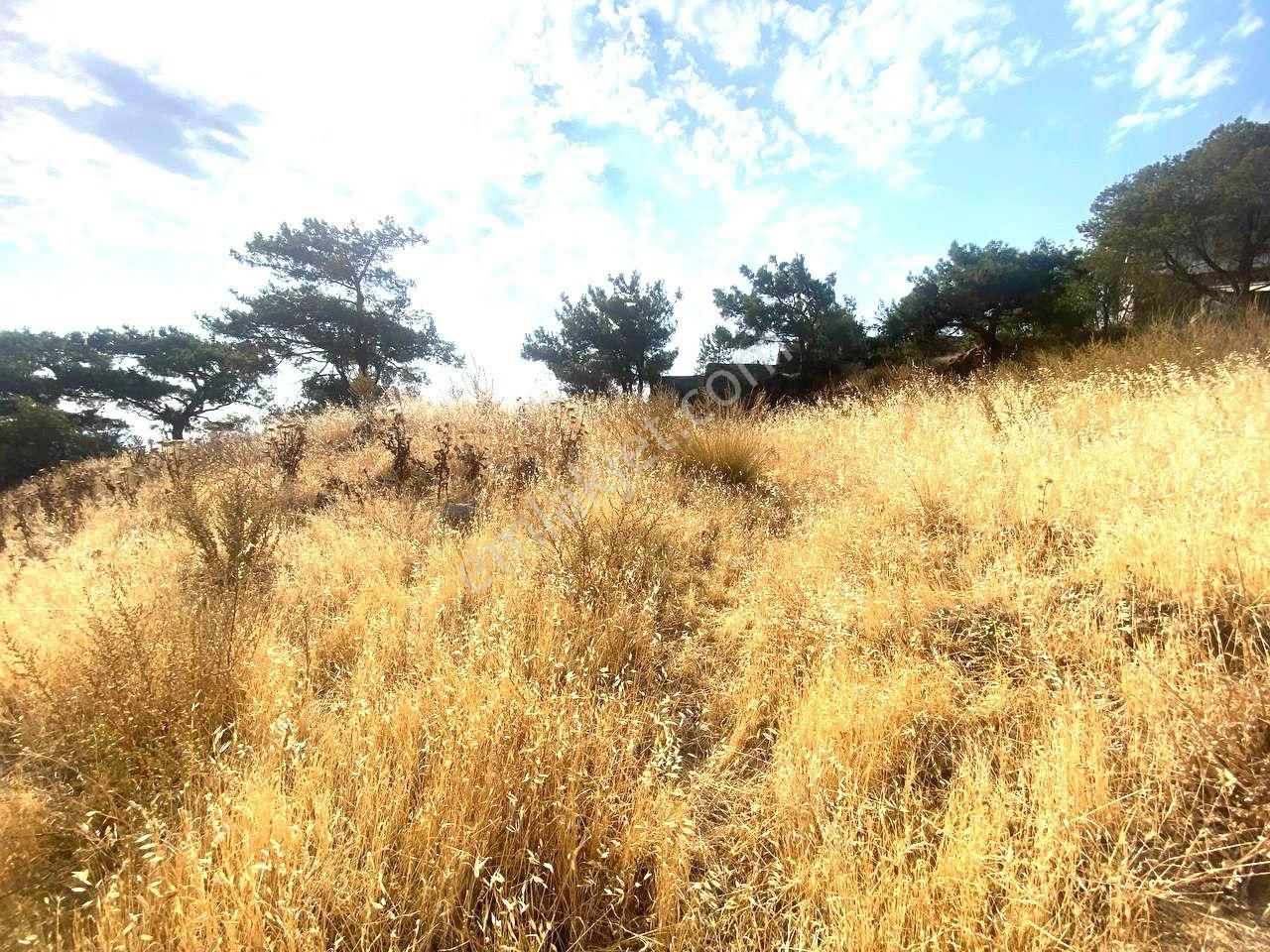 Aktiften Dutlucada %25 İmarlı 2 Kat Müsadeli 708m² Uygun Satılık Arsa🟥 - Görsel 3