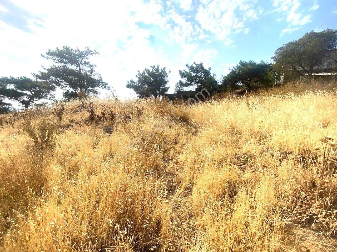 Aktiften Dutlucada %25 İmarlı 2 Kat Müsadeli 708m² Uygun Satılık Arsa🟥 - Görsel 2