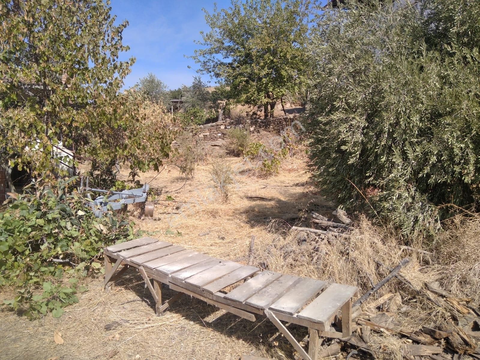 Fiyat İhtiyaçdan Düştü.nazilli Sürezde Satılık Köy Evi..... - Görsel 8
