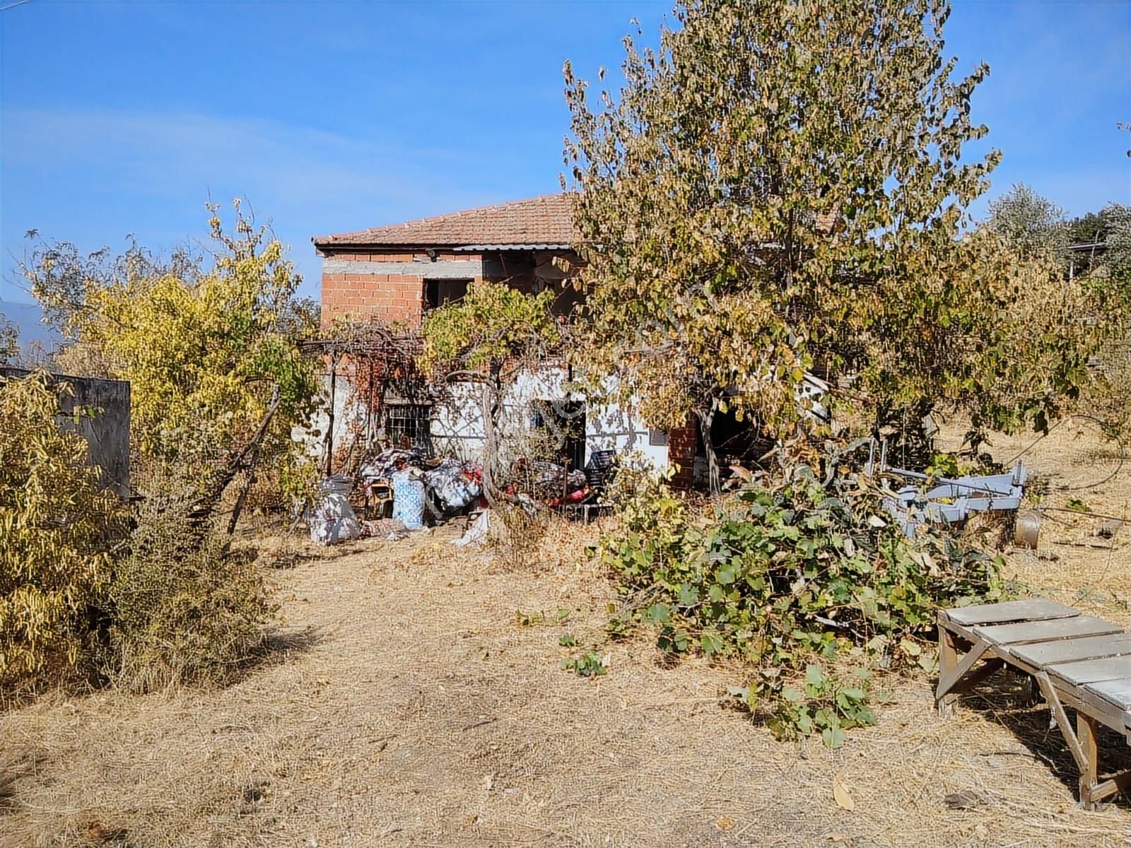 Fiyat İhtiyaçdan Düştü.nazilli Sürezde Satılık Köy Evi..... - Görsel 10