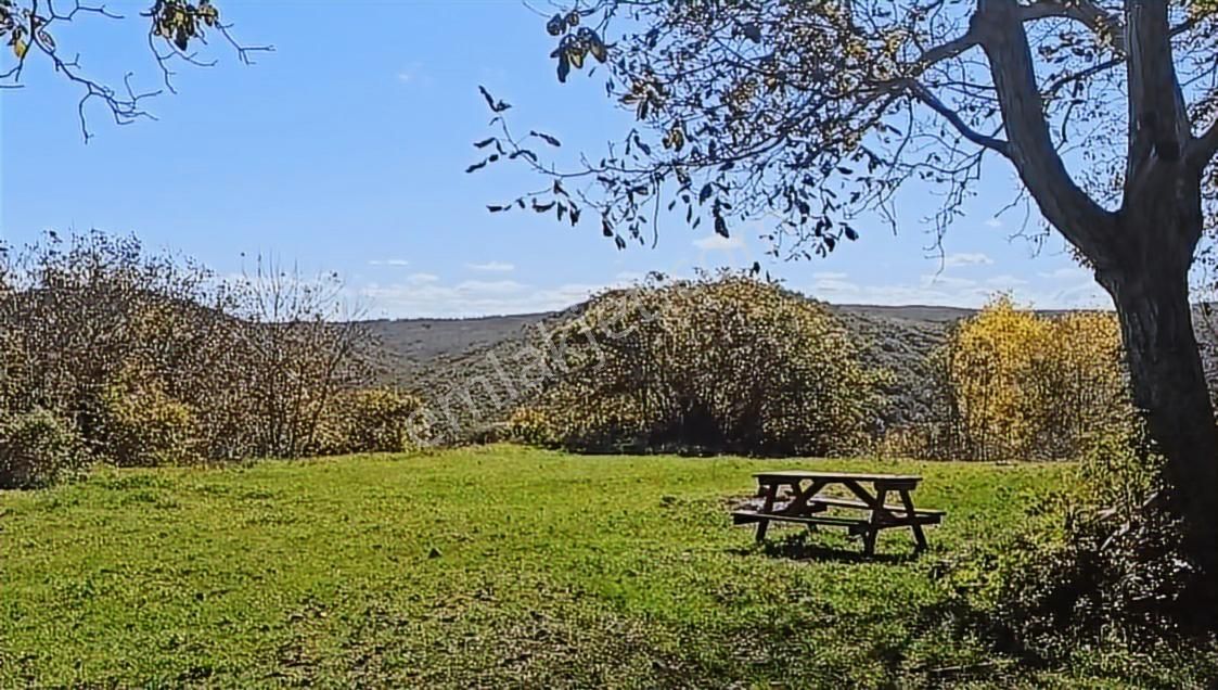 Kırklarelı Kömürköy Köyıçı Mevkıınde 4.108 M² Yatırımlık Arsa - Görsel 5