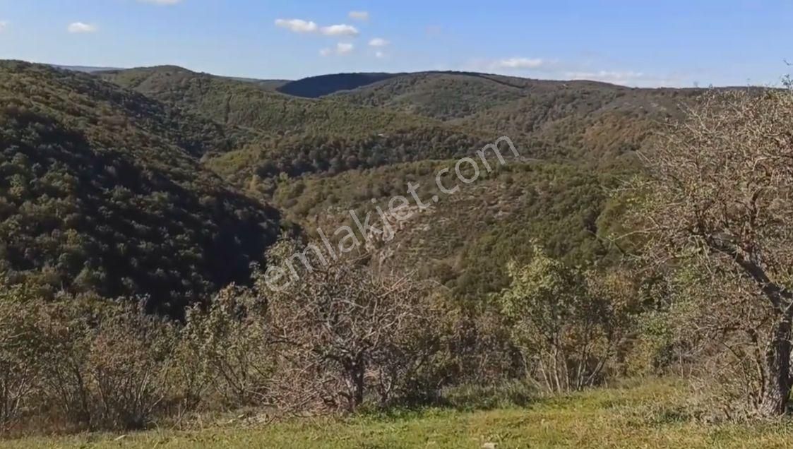 Kırklarelı Kömürköy Köyıçı Mevkıınde 4.108 M² Yatırımlık Arsa - Görsel 4