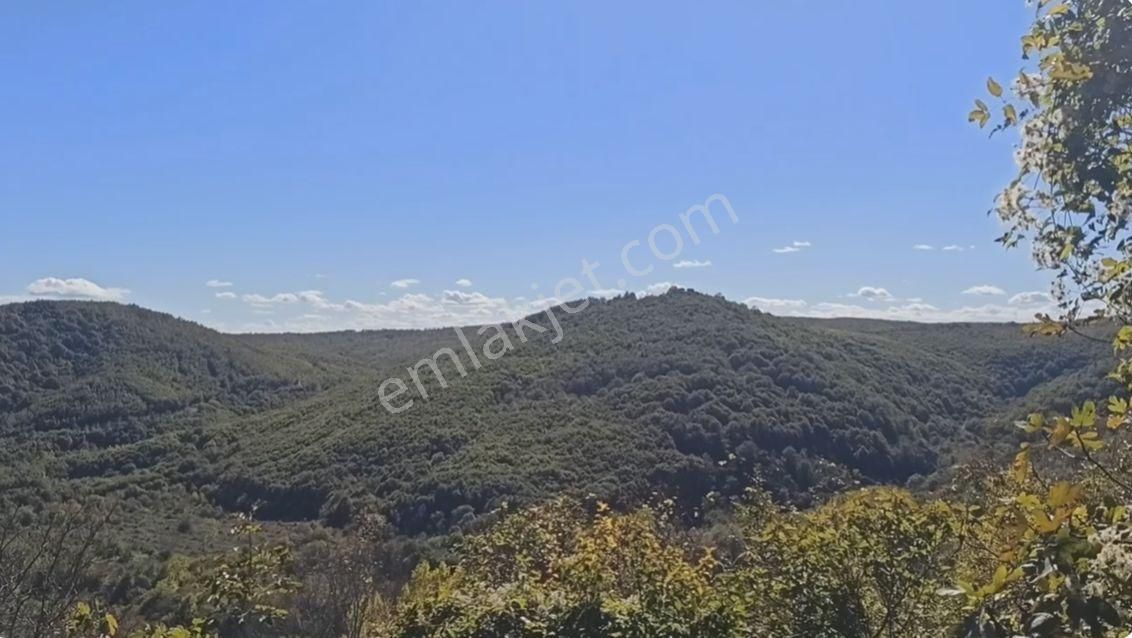 Kırklarelı Kömürköy Köyıçı Mevkıınde 4.108 M² Yatırımlık Arsa - Görsel 13