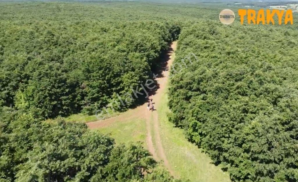 Kırklarelı Kömürköy Köyıçı Mevkıınde 4.108 M² Yatırımlık Arsa - Görsel 19