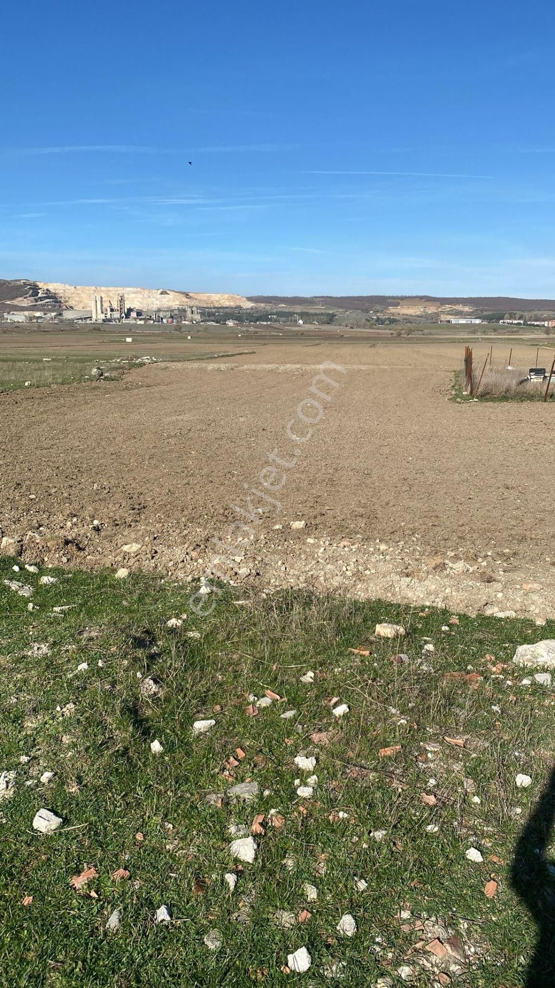 Satılık Yatırımlık İmarlı Arsa Ladik Akpınar Mahallesi - Görsel 5