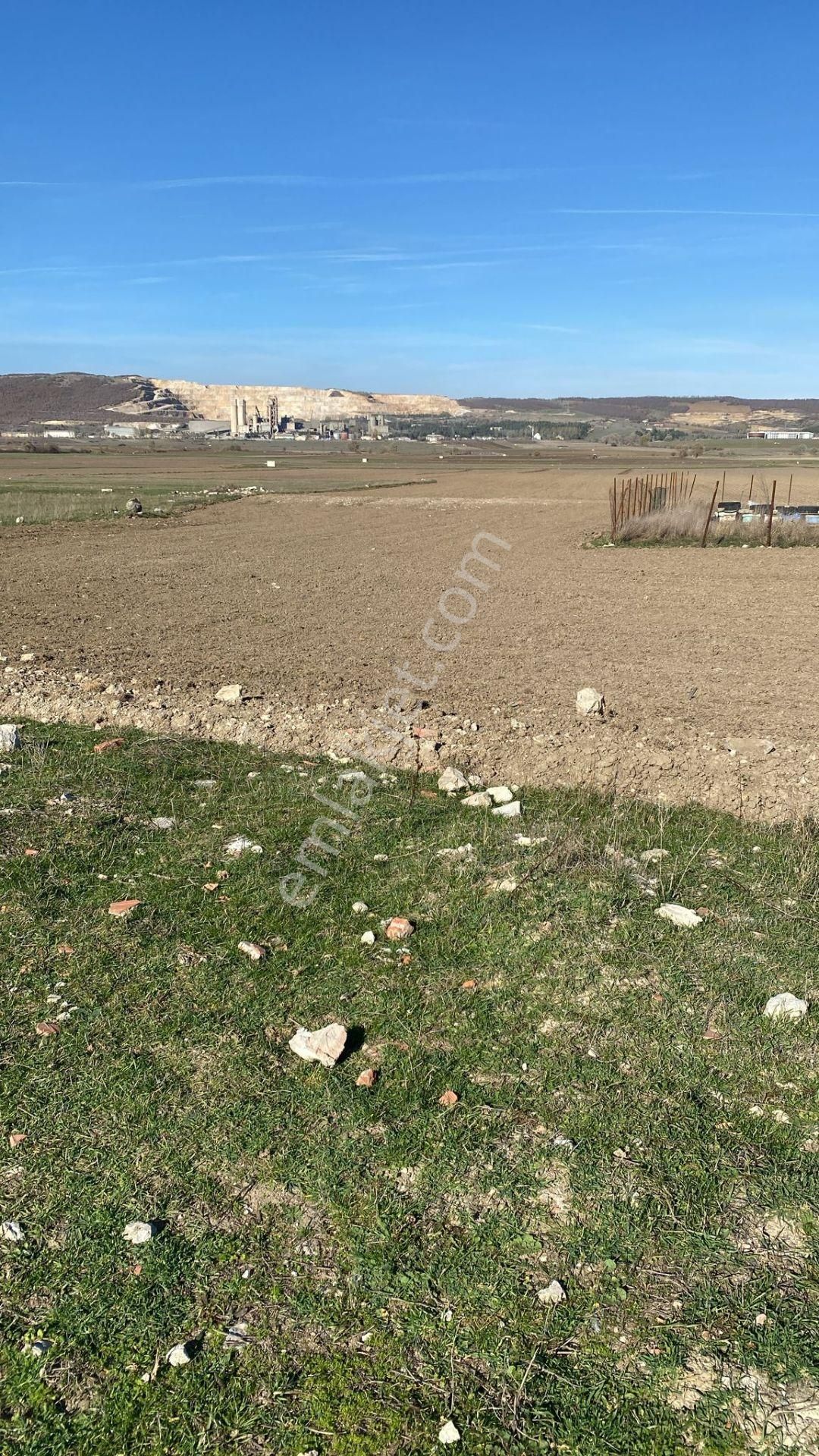 Satılık Yatırımlık İmarlı Arsa Ladik Akpınar Mahallesi - Görsel 6