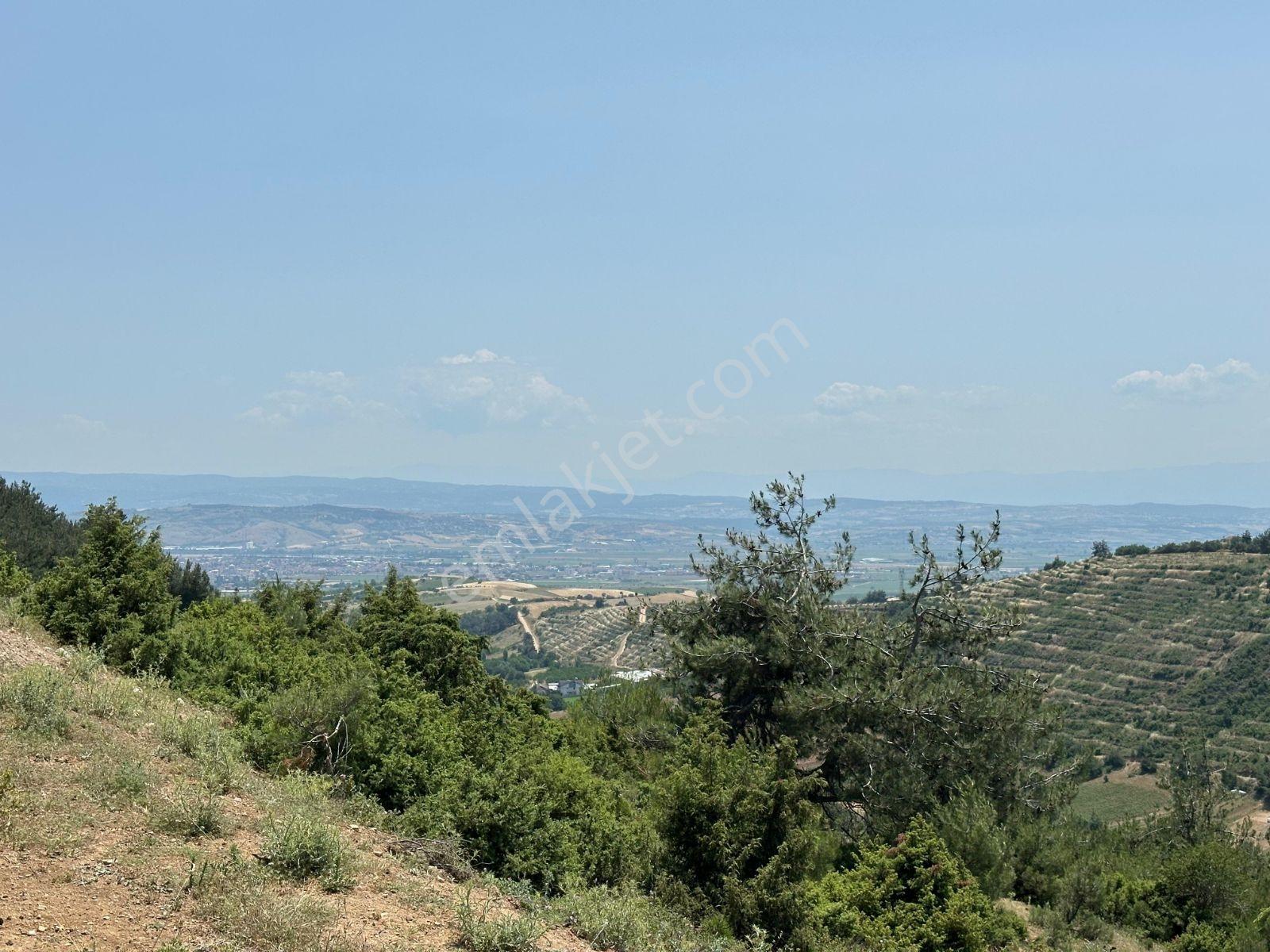 Kayalardan Yatırımlık Yenişehir Kozderede Kupon Razi - Görsel 10