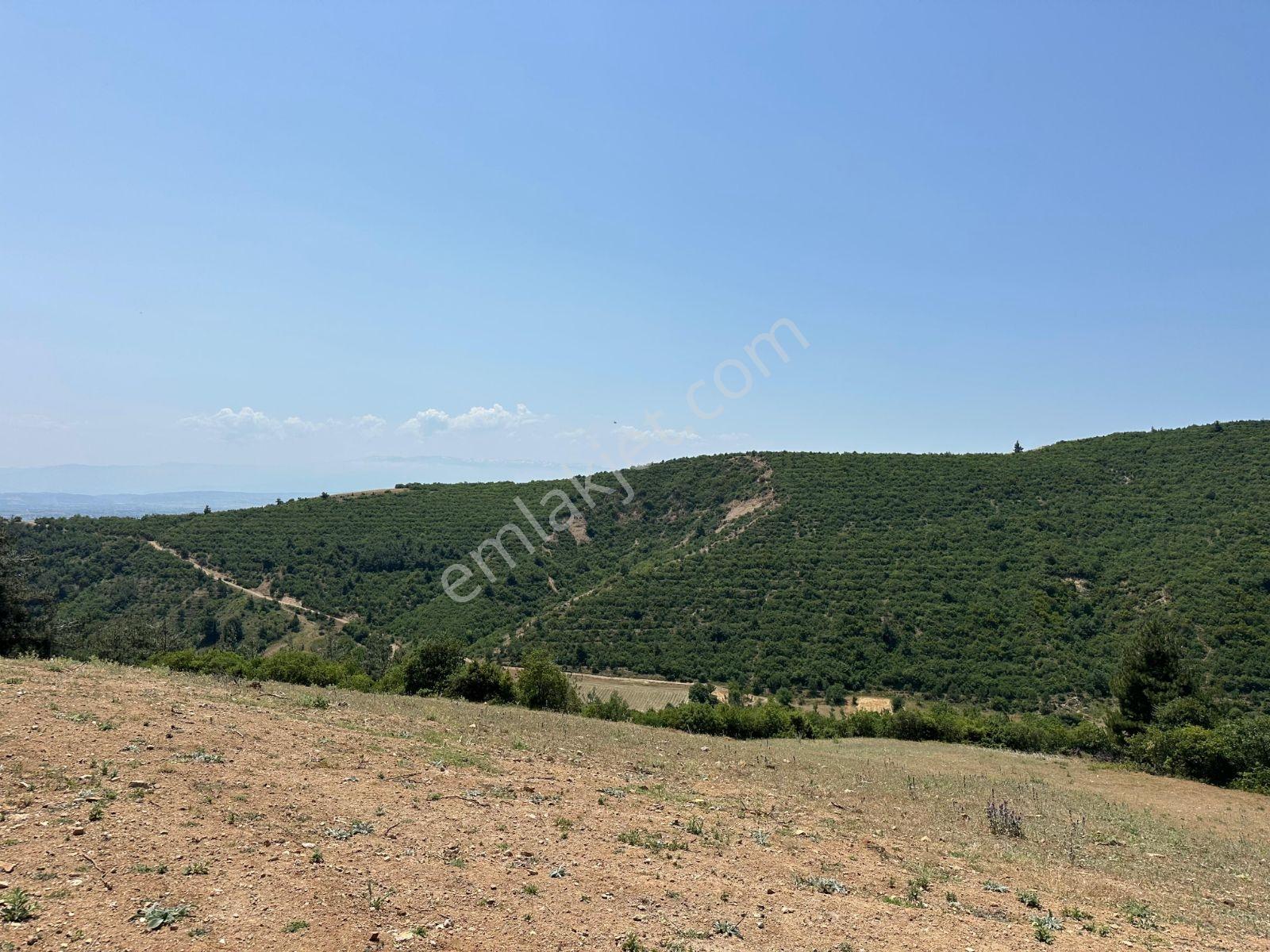 Kayalardan Yatırımlık Yenişehir Kozderede Kupon Razi - Görsel 9