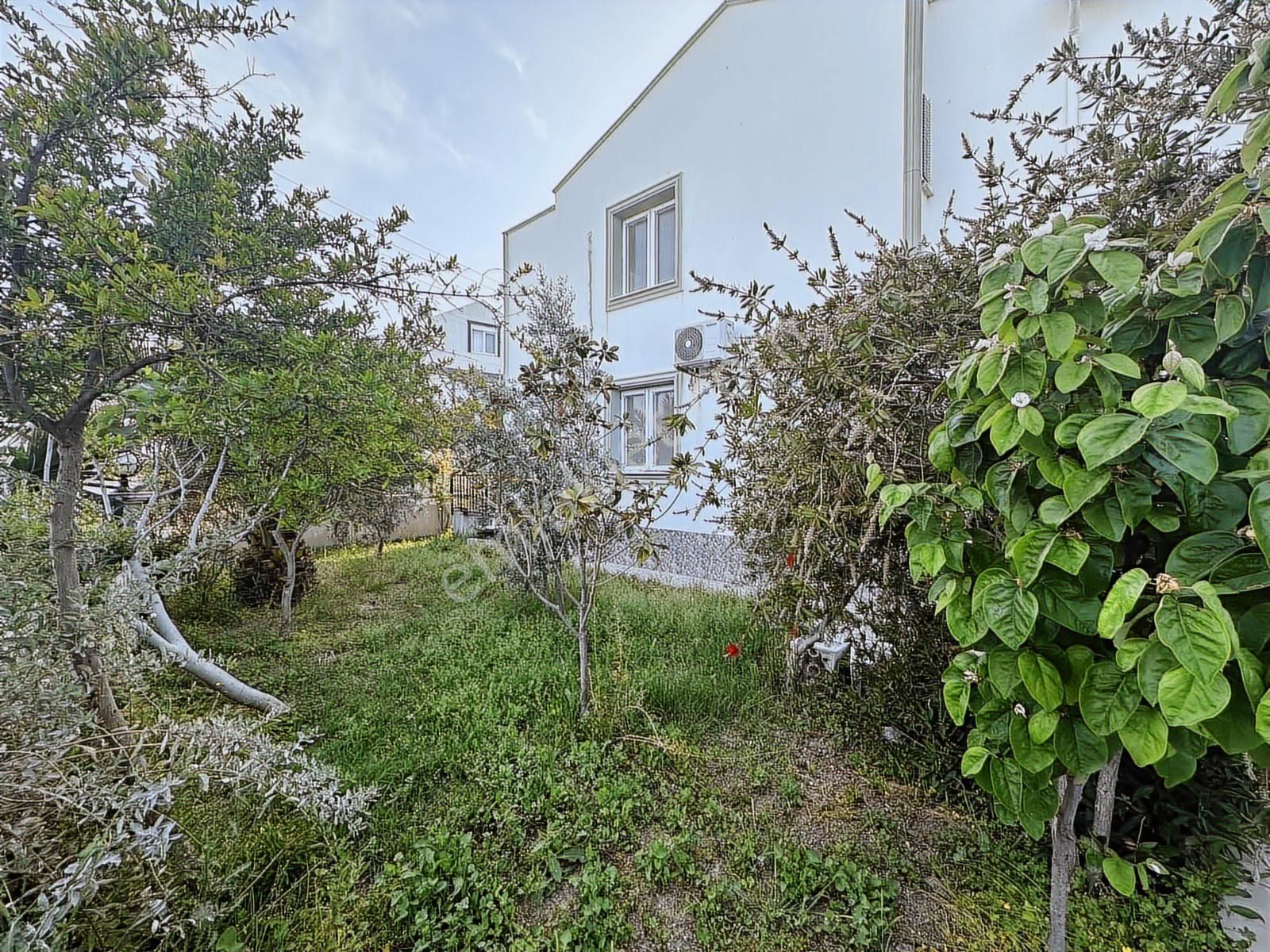 Ayvalık Sarımsaklı'da Önü Açık Bahçeli 3+1 Kiralık Villa - Görsel 19