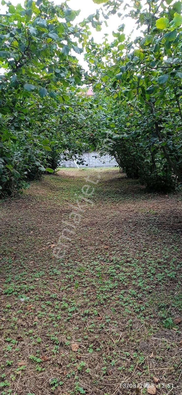 Arifağada Köy İçerisinde Yol Kenarı Denize Yakın Arsa