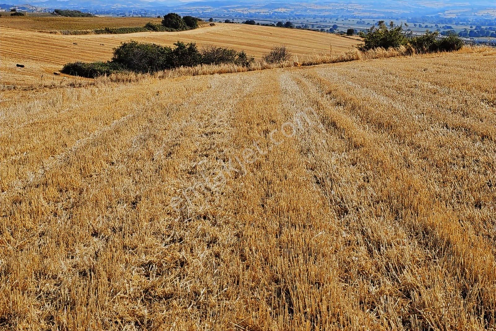 Bursa Mustafa Kemalpaşa Çeltikçide Satılık Araç Takası Olur - Görsel 19