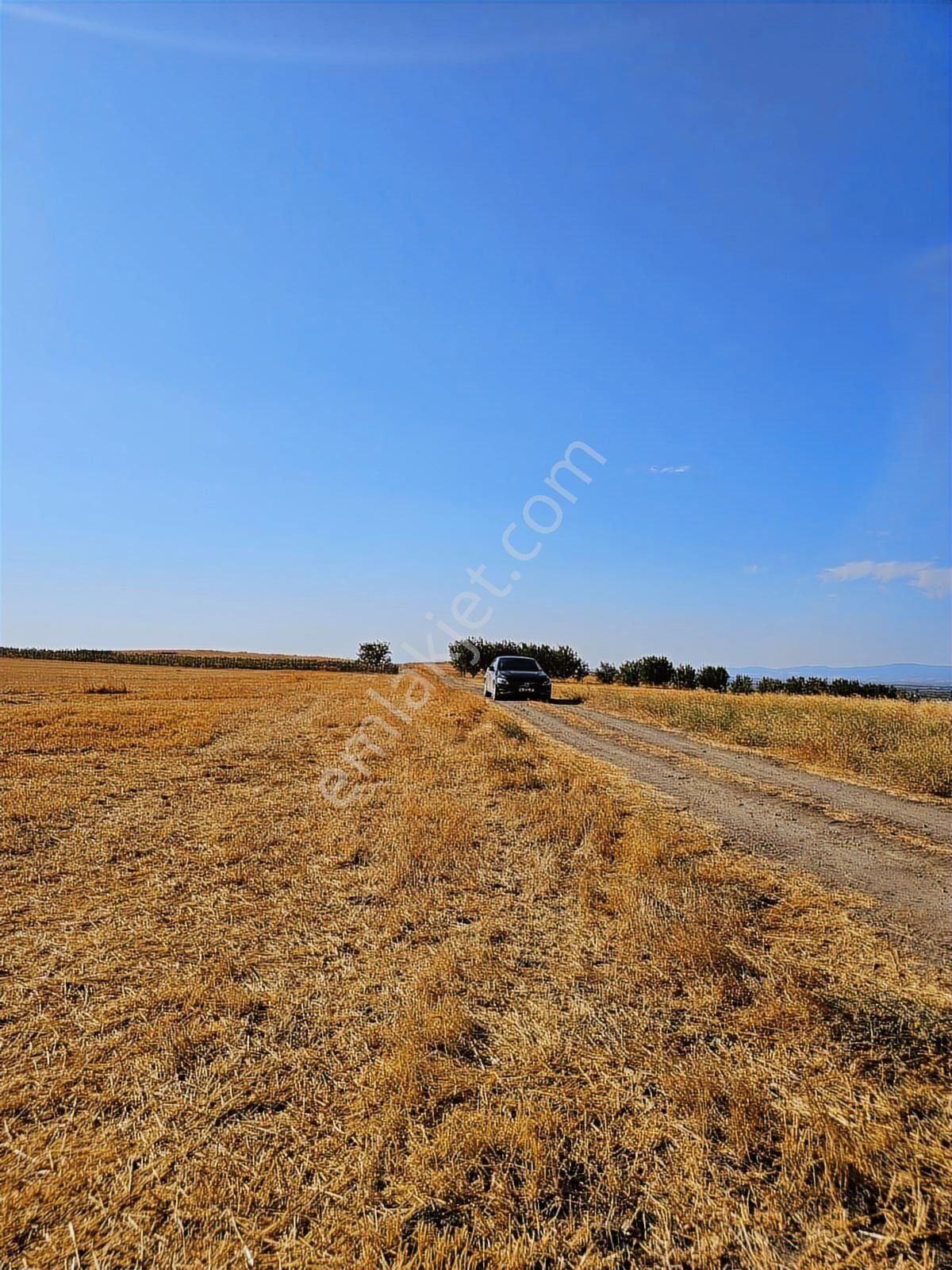 Bursa Mustafa Kemalpaşa Çeltikçide Satılık Araç Takası Olur - Görsel 18