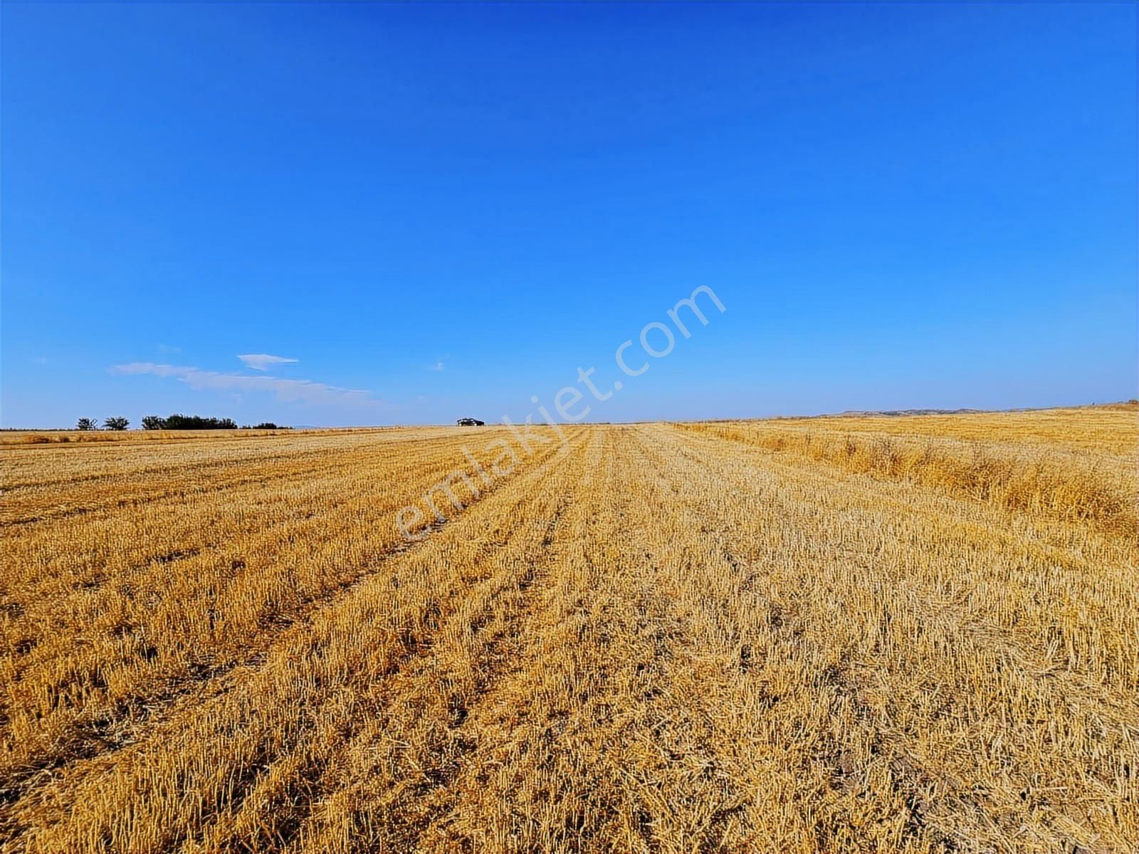 Bursa Mustafa Kemalpaşa Çeltikçide Satılık Araç Takası Olur - Görsel 4