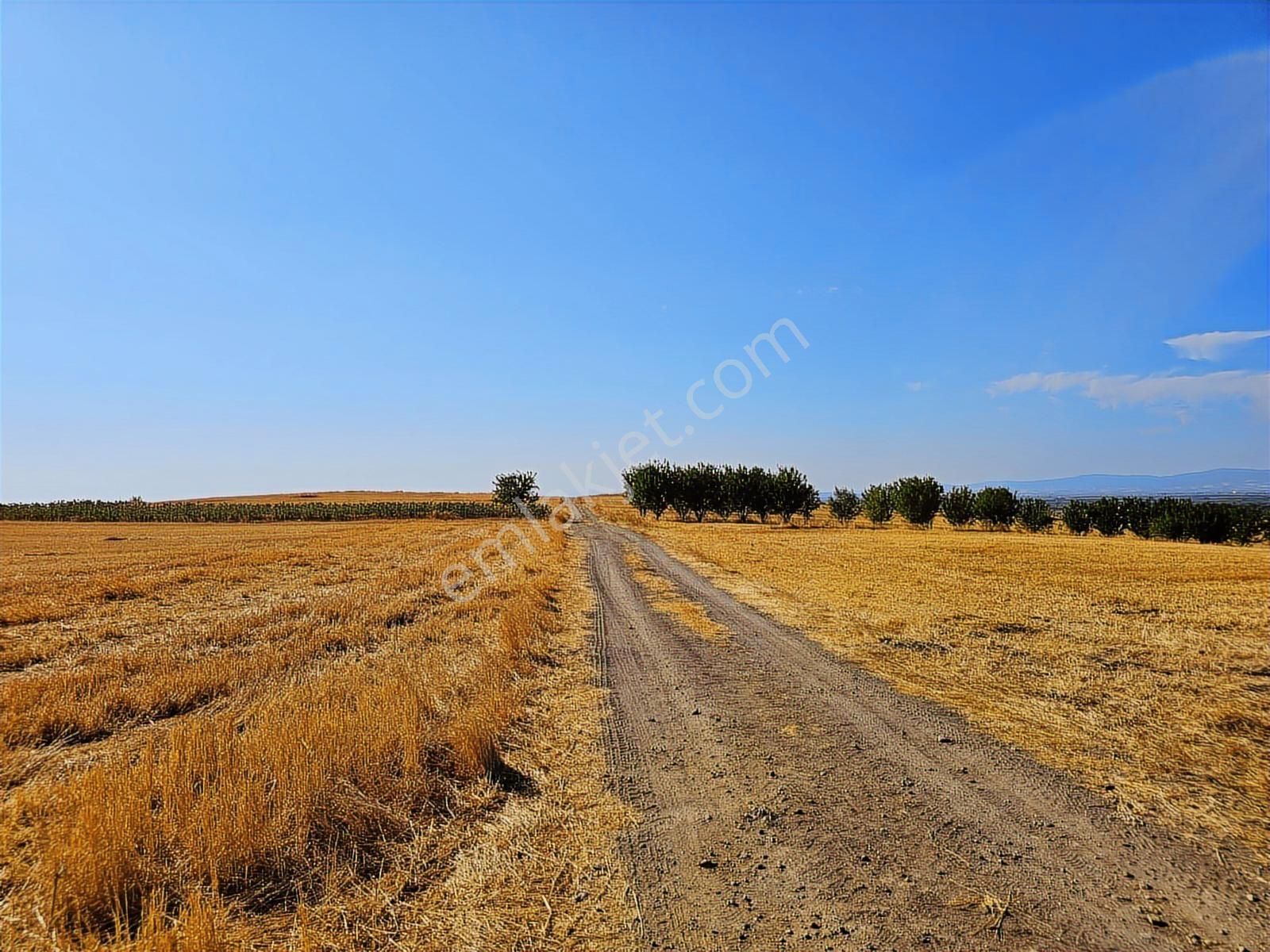 Bursa Mustafa Kemalpaşa Çeltikçide Satılık Araç Takası Olur - Görsel 20
