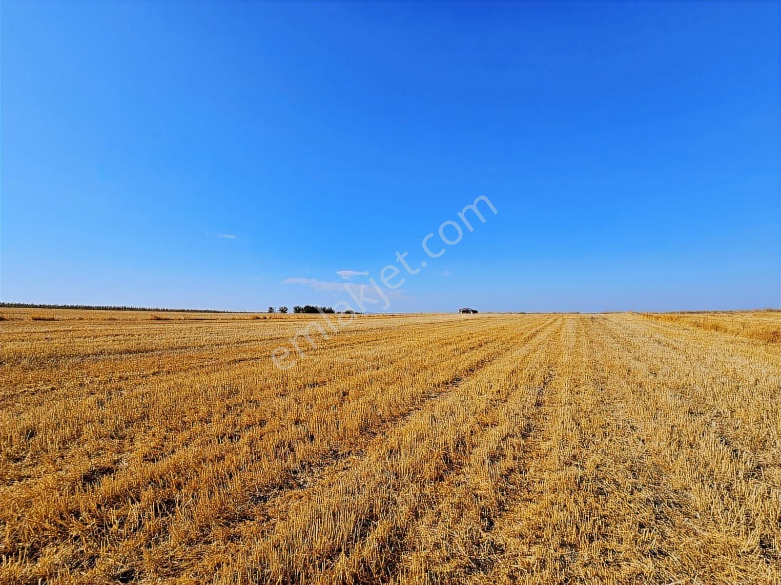 Bursa Mustafa Kemalpaşa Çeltikçide Satılık Araç Takası Olur - Görsel 21