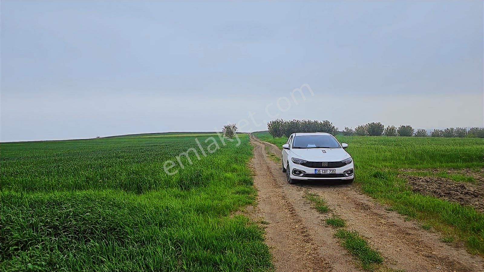 Bursa Mustafa Kemalpaşa Çeltikçide Satılık Araç Takası Olur - Görsel 24
