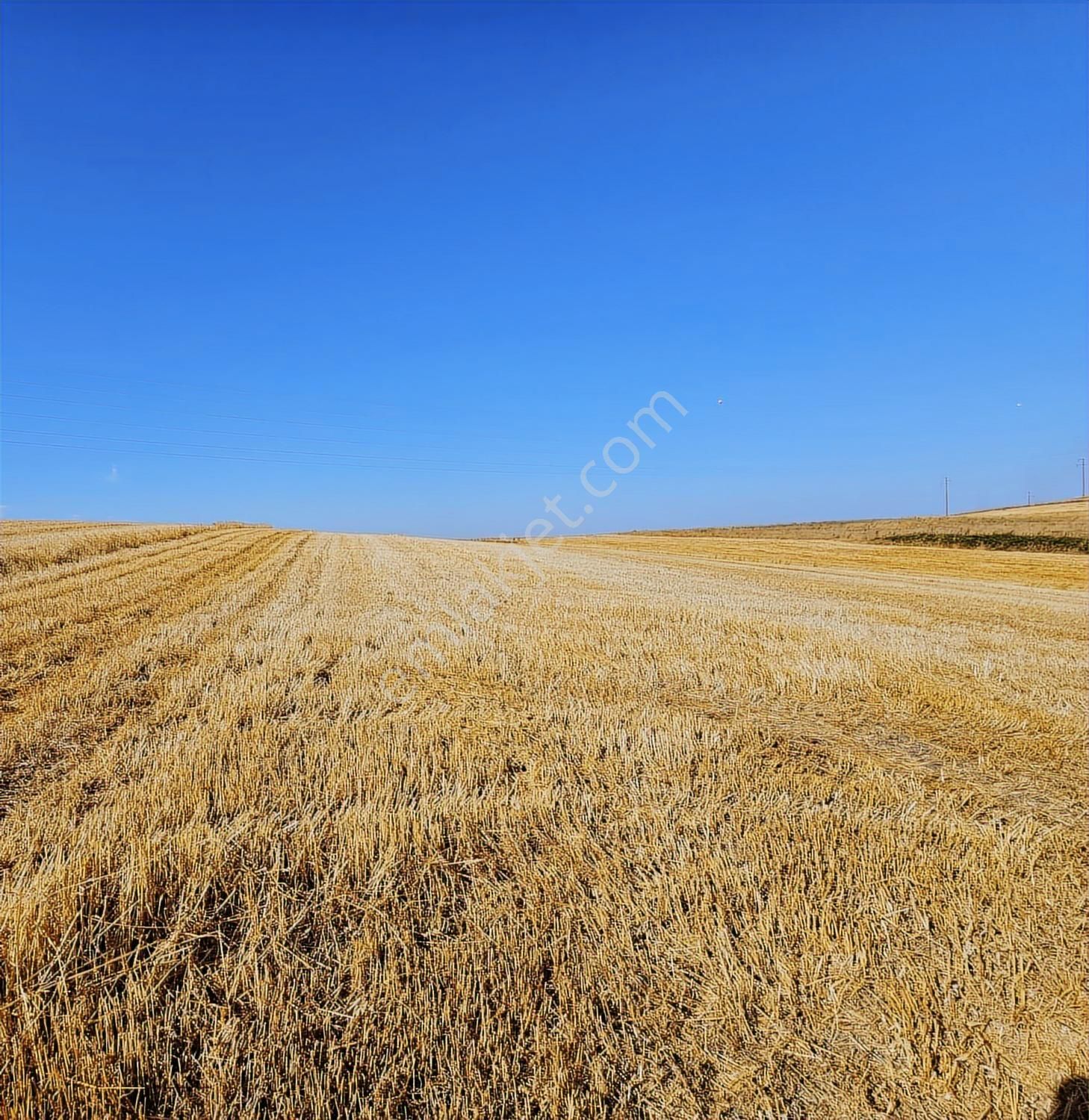 Bursa Mustafa Kemalpaşa Çeltikçide Satılık Araç Takası Olur