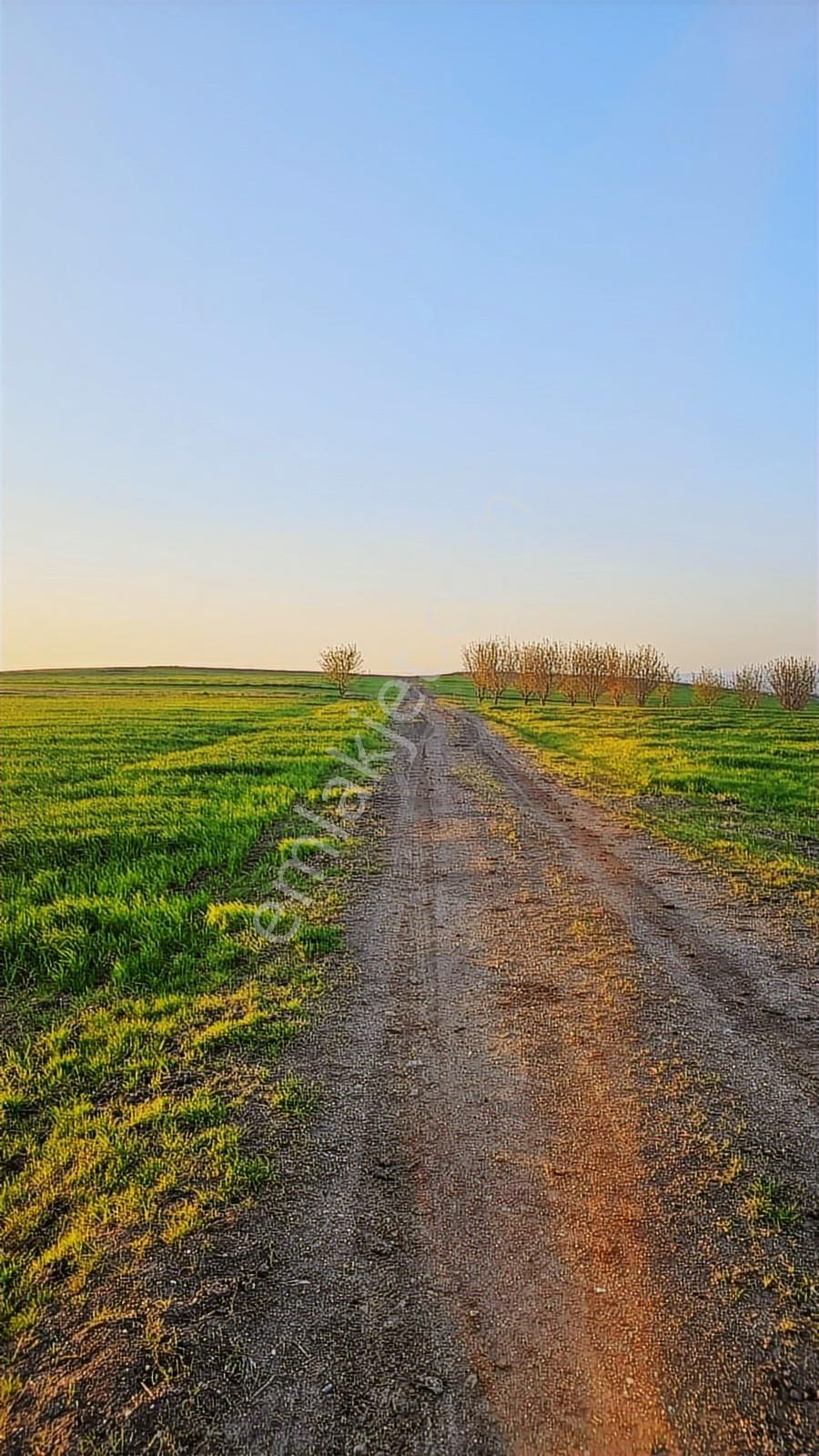 Bursa Mustafa Kemalpaşa Çeltikçide Satılık Araç Takası Olur - Görsel 28