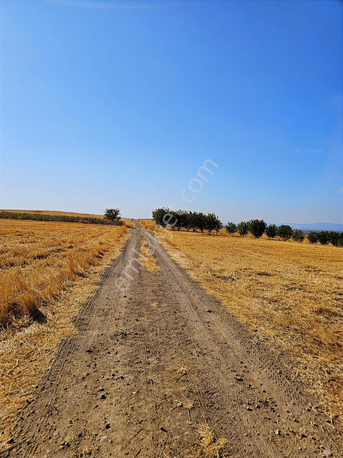 Bursa Mustafa Kemalpaşa Çeltikçide Satılık Araç Takası Olur - Görsel 26