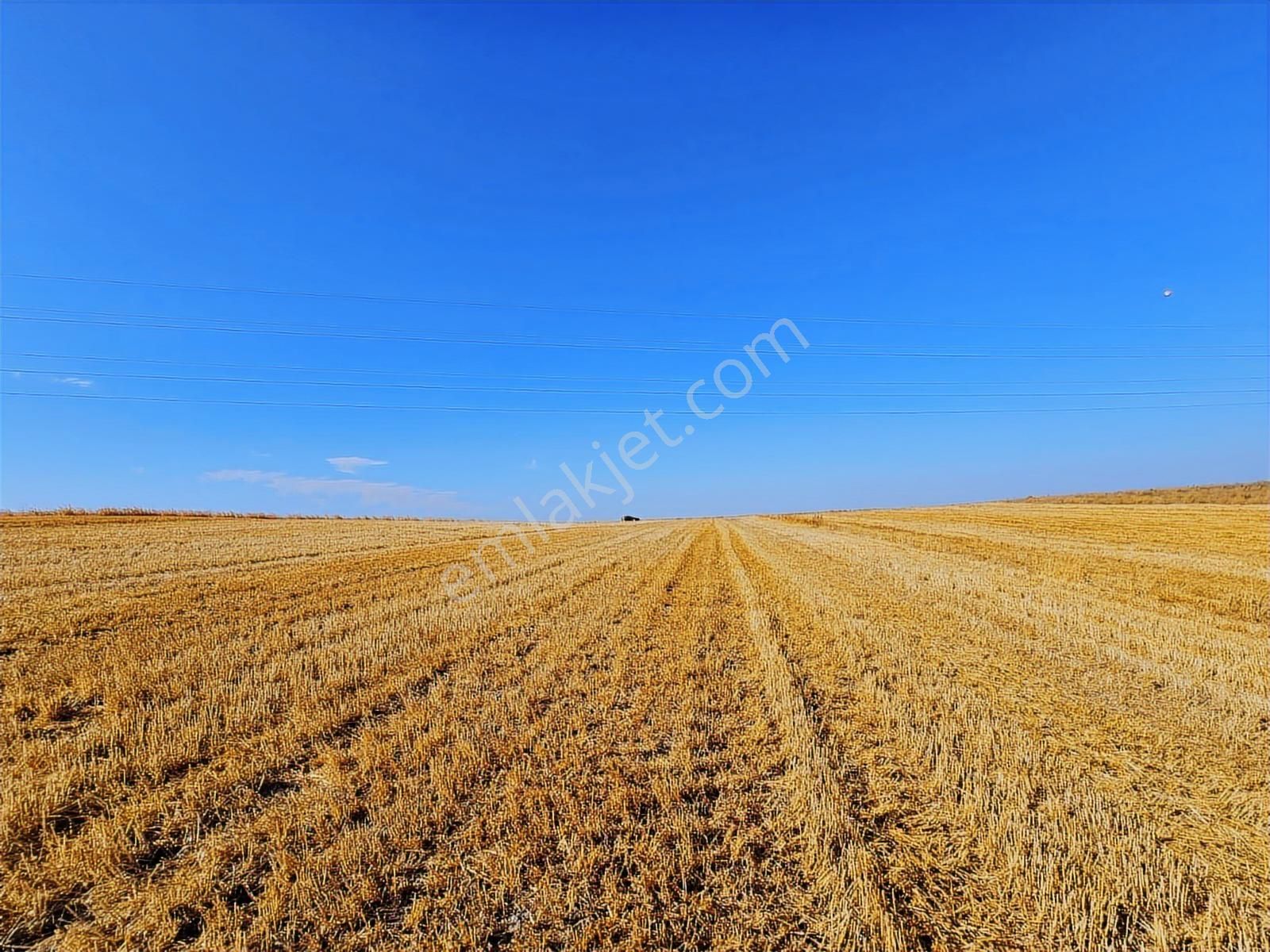 Bursa Mustafa Kemalpaşa Çeltikçide Satılık Araç Takası Olur - Görsel 29