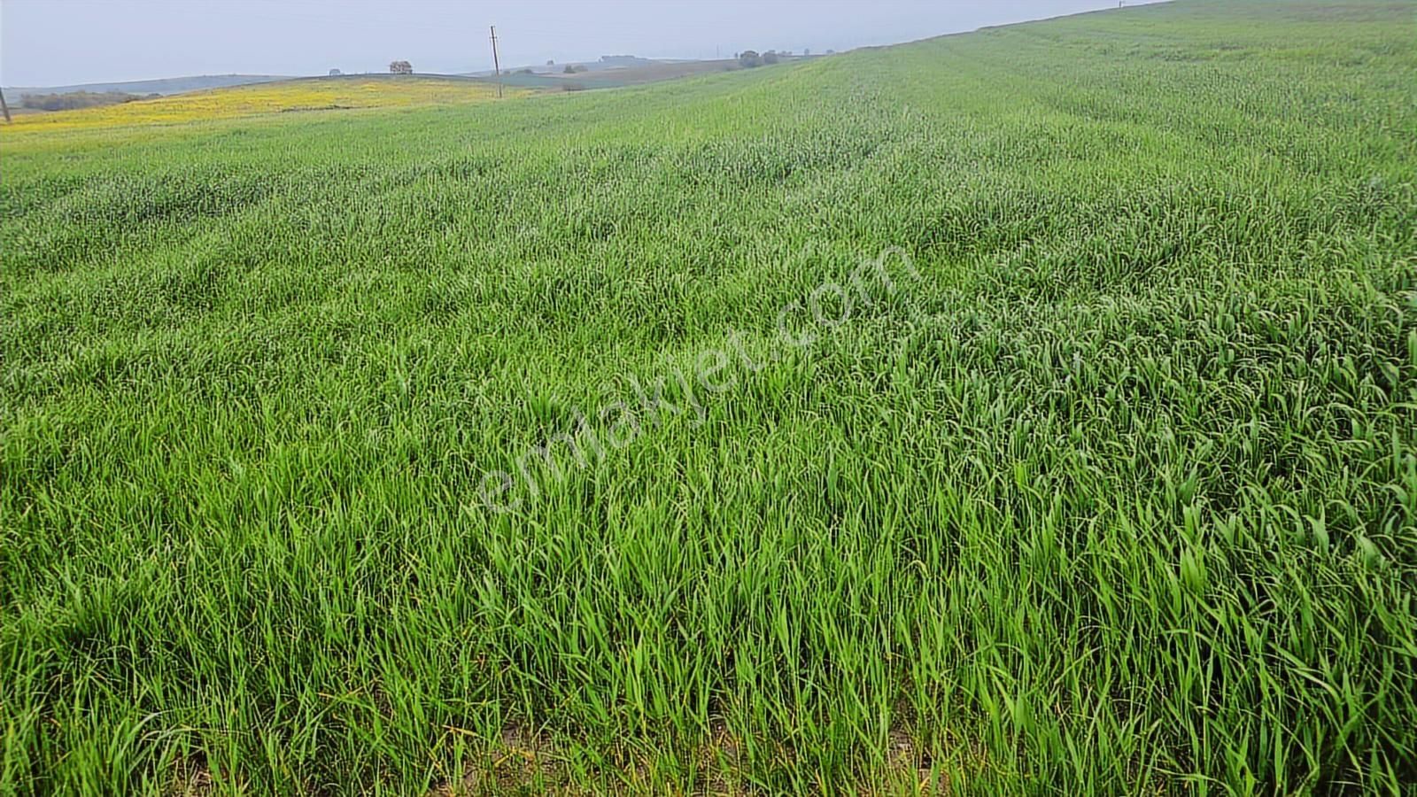 Bursa Mustafa Kemalpaşa Çeltikçide Satılık Araç Takası Olur - Görsel 22