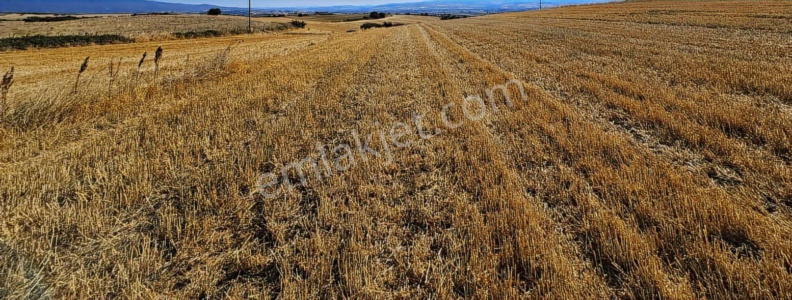 Bursa Mustafa Kemalpaşa Çeltikçide Satılık Araç Takası Olur - Görsel 15