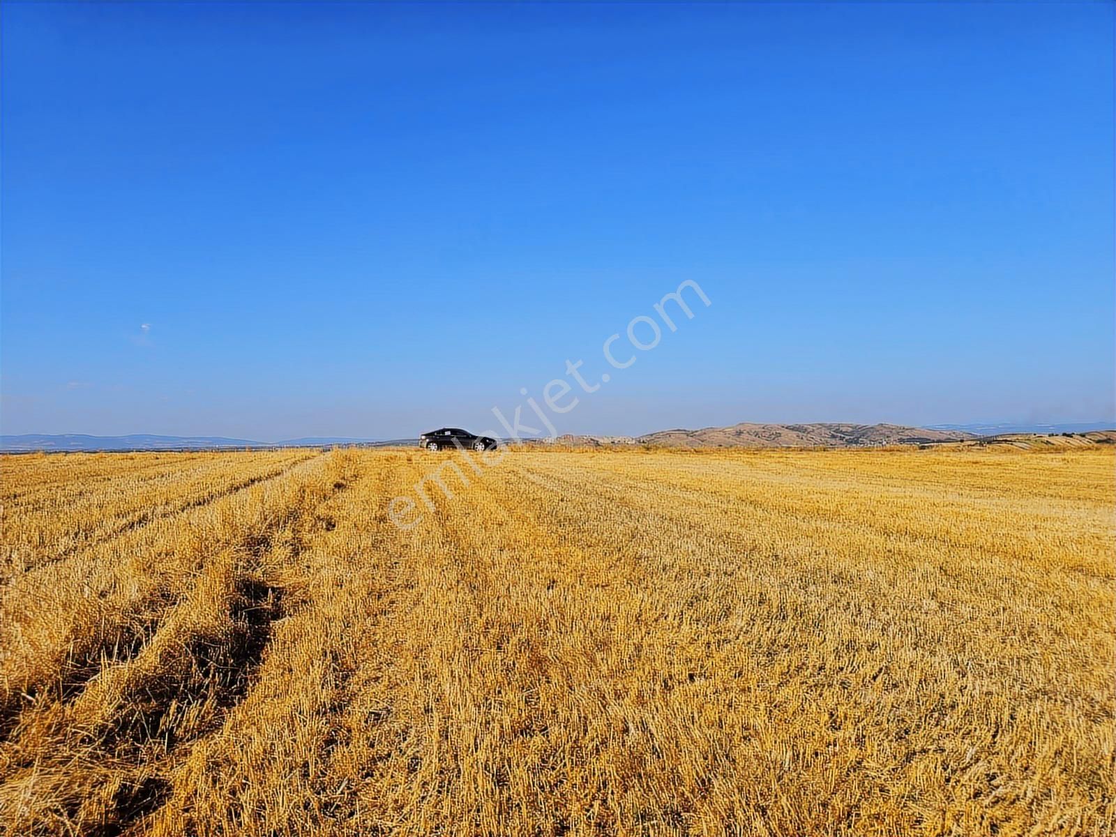 Bursa Mustafa Kemalpaşa Çeltikçide Satılık Araç Takası Olur - Görsel 25