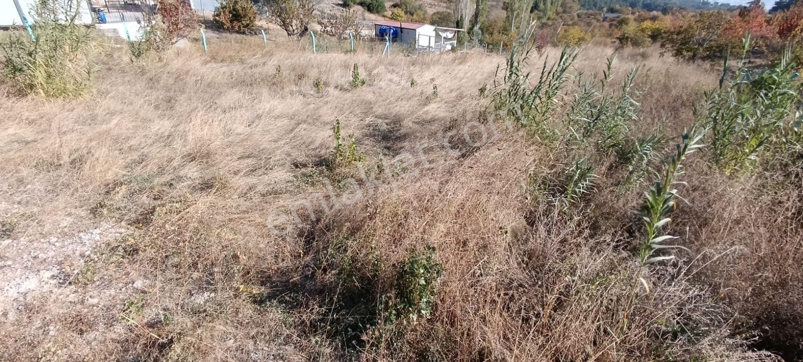 İzmir Kemalpaşa Damlacıkta 1200 M2 Acillll Satılık Tarla - Görsel 28