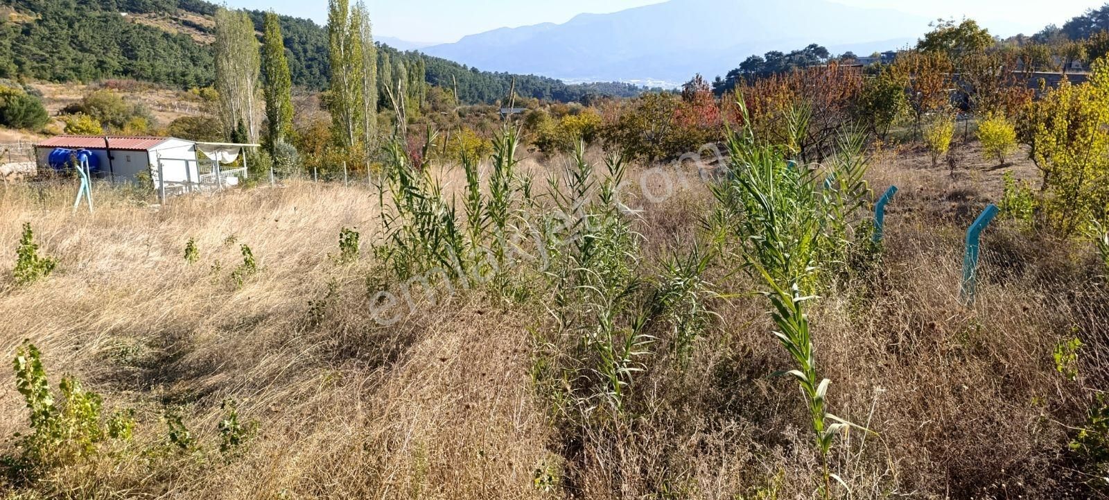 İzmir Kemalpaşa Damlacıkta 1200 M2 Acillll Satılık Tarla - Görsel 13