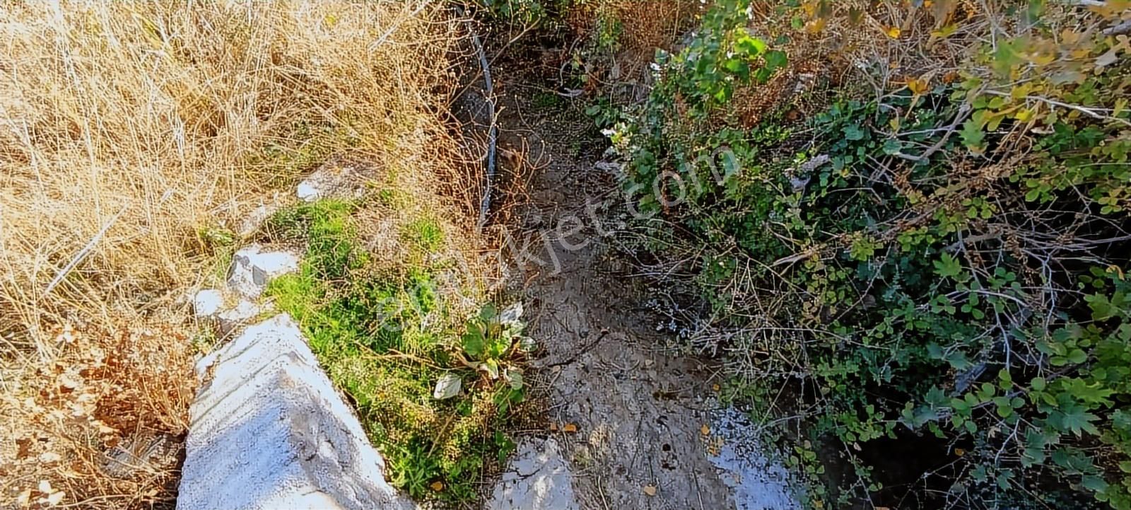 İzmir Kemalpaşa Damlacıkta 1200 M2 Acillll Satılık Tarla - Görsel 29