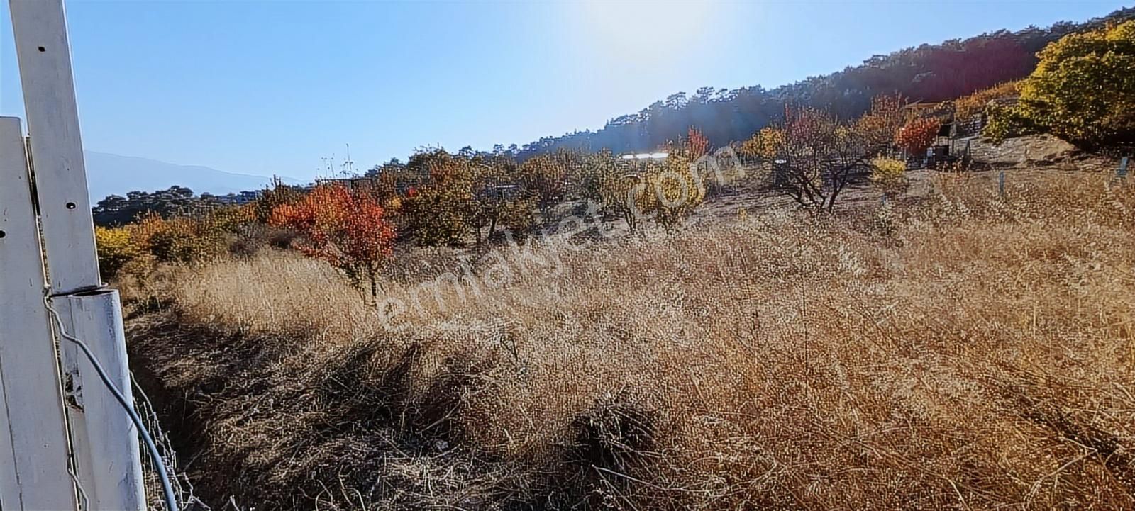 İzmir Kemalpaşa Damlacıkta 1200 M2 Acillll Satılık Tarla - Görsel 5