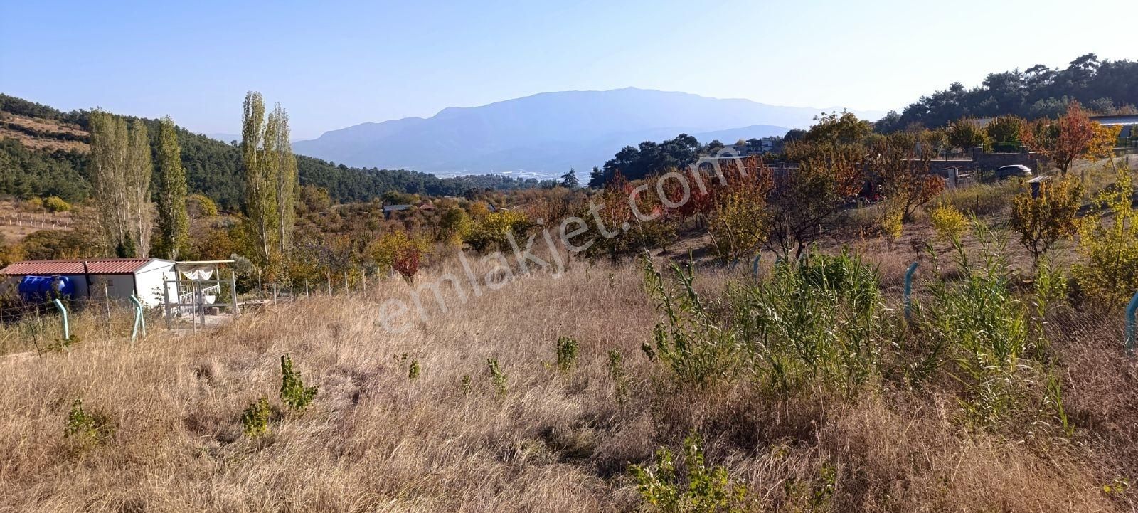 İzmir Kemalpaşa Damlacıkta 1200 M2 Acillll Satılık Tarla - Görsel 15