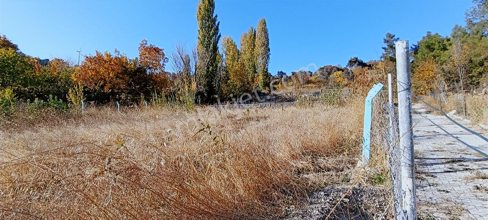 İzmir Kemalpaşa Damlacıkta 1200 M2 Acill Satılık Tarla - Görsel 26