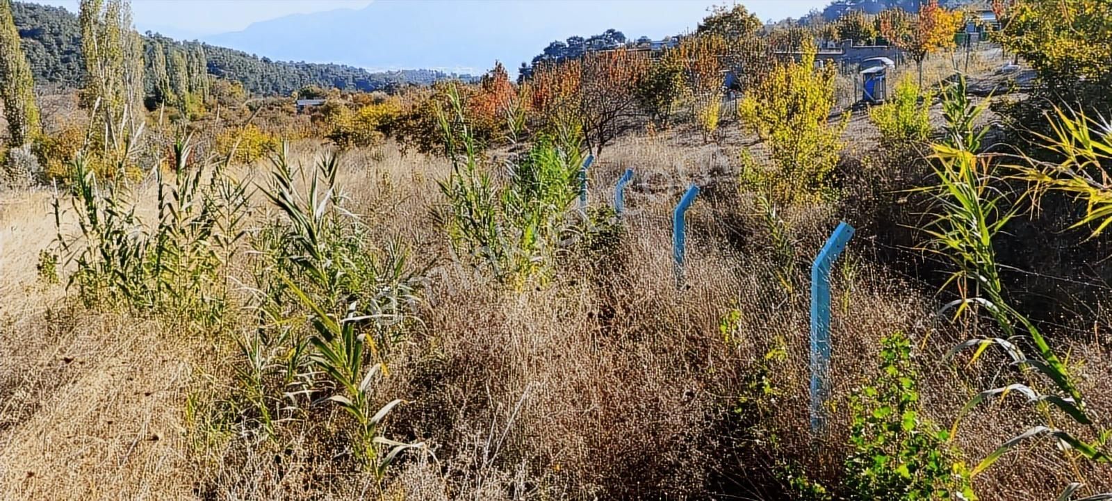 İzmir Kemalpaşa Damlacıkta 1200 M2 Acillll Satılık Tarla - Görsel 18