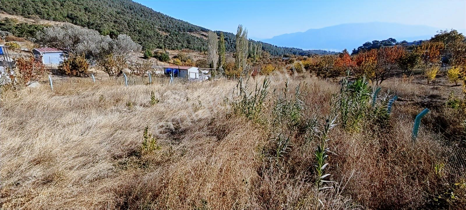 İzmir Kemalpaşa Damlacıkta 1200 M2 Acill Satılık Tarla - Görsel 8