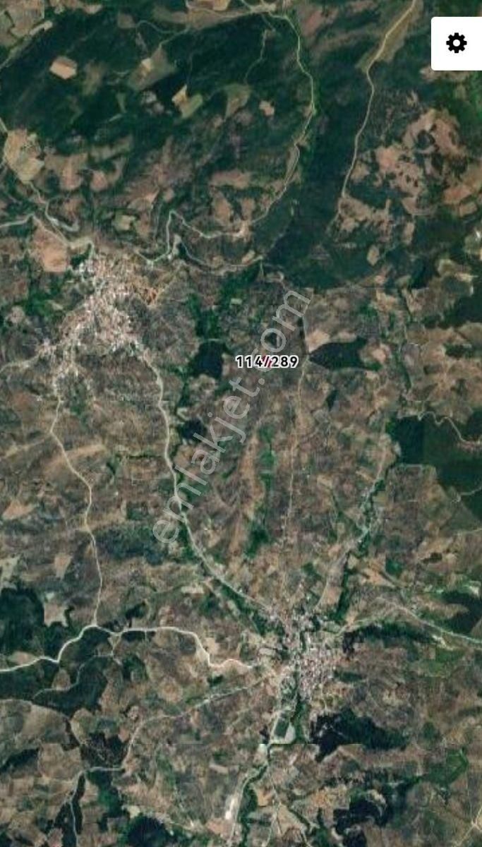 Selçuklu'dan Mirzaoba'da Yerleşime Yakın Fırsat Zeytinlik - Görsel 3