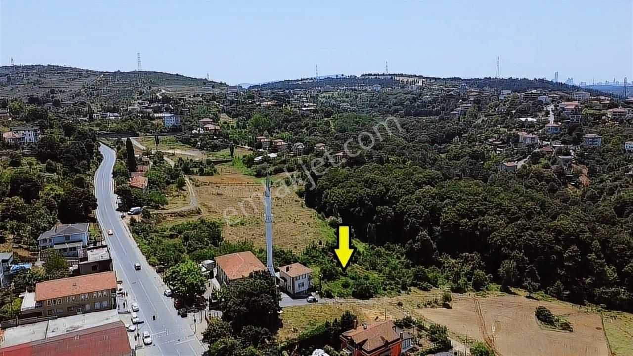 Baklacı'da Ormana Komşu Doğa Manzaralı 3609m2 Villa İmarlı Arsa - Görsel 9